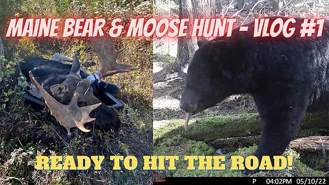 Maine Moose and bear hunting VLOG 1