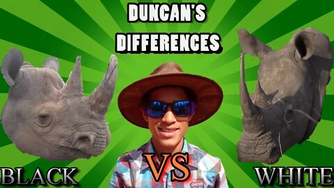 AFRICAN RHINOS: How To Tell BLACK From WHITE | Duncan's Differences