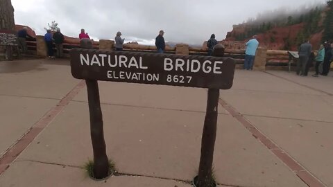 PONDEROSA POINT, AQUA CANYON AND NATURAL BRIDGE AT BRYCE CANYON