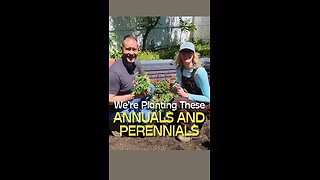 See What Annuals and Perennials We're Planting