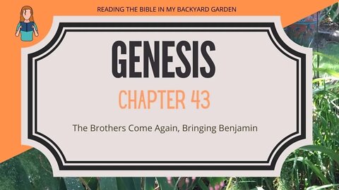 Genesis Chapter 43 | NRSV Bible Reading