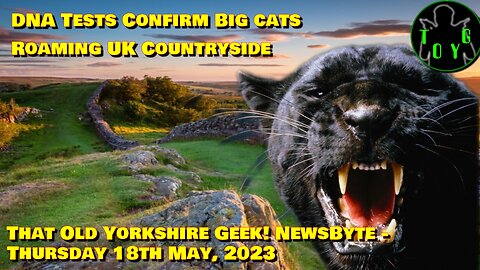 DNA Test Confirms Big Cats Roaming UK Countryside!