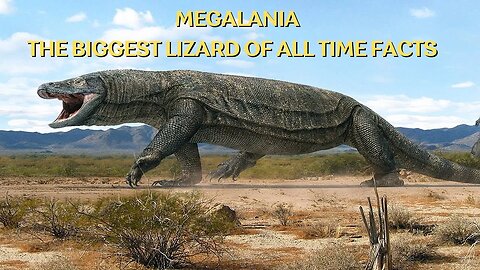 Megalania: The Biggest Lizard Of All Time Facts