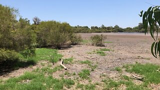 Been a hot few weeks in Wa, unbelievable evaporation😳🤷‍♂️😳