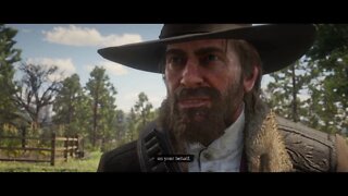 Red Dead Redemption 2 Part 27-Taking All The Money
