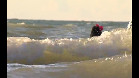 National Weather Service issues beach hazards statement for Lake Erie