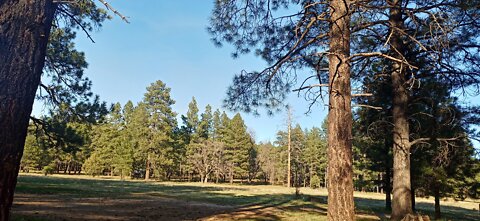 Drive to campsite on Willard Springs Road. Coconino National Forest, Arizona