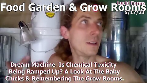 Dream Machine. Is Chemical Toxicity Being Ramped Up? A Look At The Baby Chicks & Remembering The Grow Rooms. 5/17/23 Food Garden & Grow Rooms.