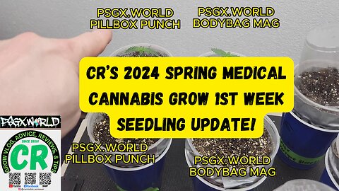 CR's 2024 Spring Growing Season Medical Cannabis Grow 1st Week Seedling Update!