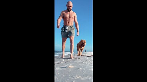 GIANT Pit Bull & owner beach adventures! 🦁🙏🏻🧜‍♀️🪱🦀
