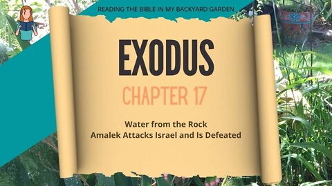 Exodus Chapter 17 | NRSV Bible | Read Aloud