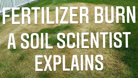 WHAT CAUSES FERTILIZER BURN IN PLANTS? IS IT REVERSIBLE. | Gardening in Canada