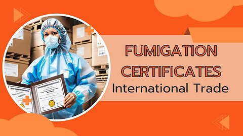 Unraveling the Significance of Fumigation Certificates for Customs Clearance
