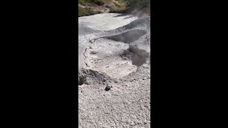 Boiling mud Yellowstone