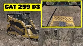 CAT 259 D3 Skid Steer Land Clearing with HD Bushwhacker SSM 72 inch cutter