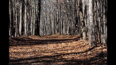 Coopers Falls Hiking Trail On The Trans Canada Trail