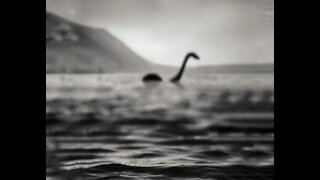 Primeira aparição de Nessie em 2022. Será?