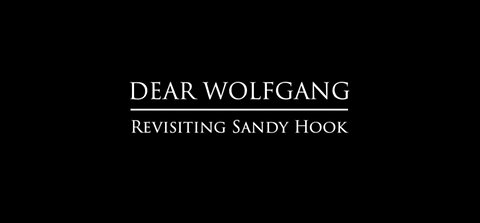 Dear Wolfgang - Revisiting Sandy Hook (documentary)