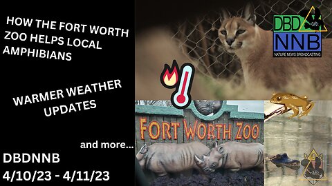 Dallas Zoo CEO Passes Away | Things Ramping Up As Weather Warms Up | DBDNNB April 12th, 2023