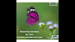 Butterfly Garden Hagerstown Maryland The Best Landscape