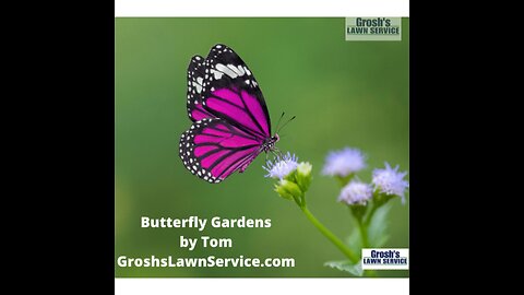 Butterfly Garden Hagerstown Maryland The Best Landscape
