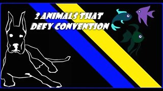 2 Animals That Defy Convention #Shorts