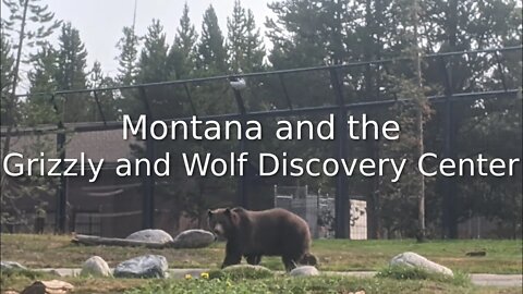 Montana and the Grizzly and Wolf Discovery Center