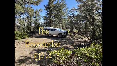 Truck Camping in the Forest