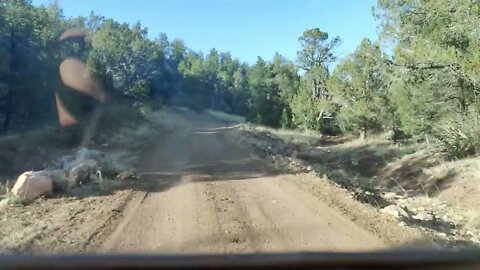 Heading down Juniper mountain. Starting off from way down Anvil Rock heading to WVR via Bucks Rd