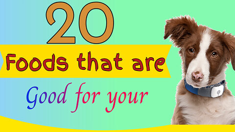 20 foods that are good for your dog