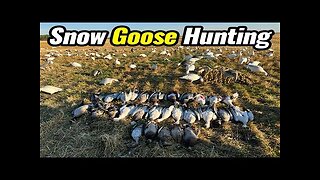 TRIPLE'S ON SNOW GEESE...ONE HANDED!!