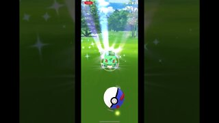 Pokémon Go - Catching Bulbasaur Gameplay #Shorts