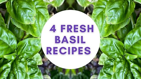 Fresh Basil Recipes