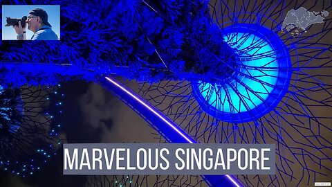 Marvellous Singapore - Marina Bay Sands, Spargo Bar, Gardens by the Bay Supertrees & Garden Rhapsody