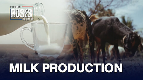 DA, aminadong malayo pa ang Pilipinas pagdating sa milk production kumpara sa ibang bansa