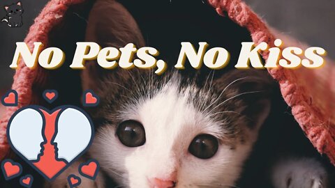 #4k #pets nice compilation funnest pets