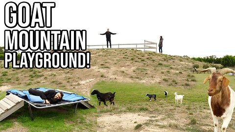 Goat Mountain Is an Epic Playground!