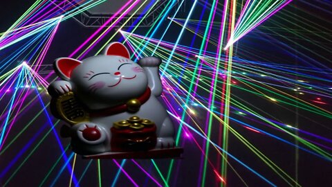 Electronica Cat #relax #interesting #electronicmusic #electronica #electronicdancemusic