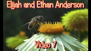 Elijah and Ethan Anderson Video's Part 7