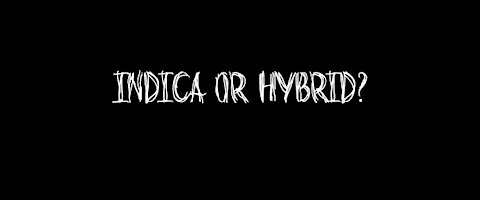 Indica or Hybrid?