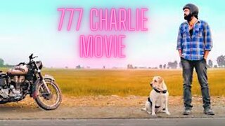 777 Charlie English Teaser | Rakshit Shetty | Kiranraj K | Nobin Paul | Paramvah Studios #shorts