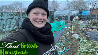Never thought I would end up doing THIS: Allotment Garden