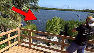 Fishing from my porch... This is what happened! {Catch N Cook}