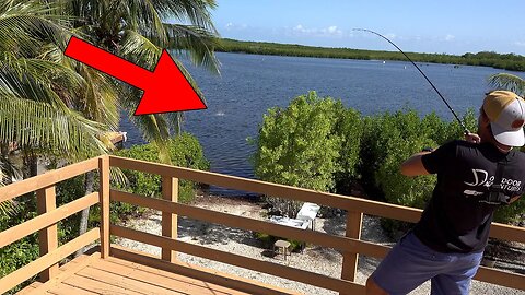 Fishing from my porch... This is what happened! {Catch N Cook}