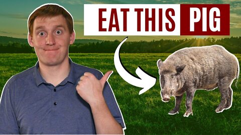 The Most Ethical Way To Eat Meat