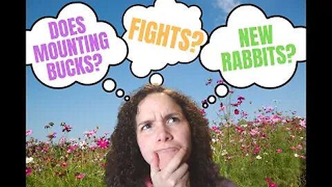 Can Does Castrate Males? Q&A Time! ║ How to Raise MEAT RABBITS (Part 8/8)