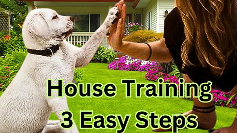 ✅ Dog training - how to house train a puppy | dog training | train any dog the basics