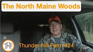 Thunder Hill Farm #24 - The North Maine Woods