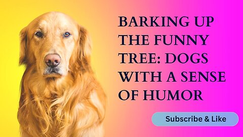 Barking Up the Funny Tree: Dogs with a Sense of Humor