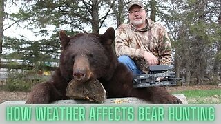 How weather affects bear hunting